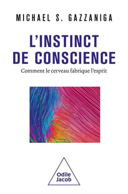 L' Instinct de conscience - Comment le cerveau fabrique l'esprit