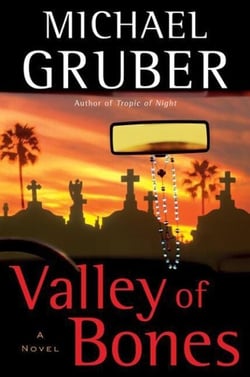 Valley of Bones - A Novel