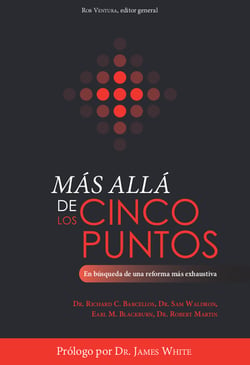 Más allá de los cinco puntos - En búsqueda de una reforma más exhaustiva