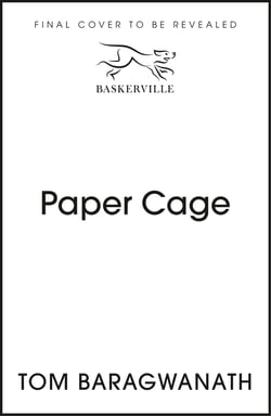 Paper Cage - The award-winning New Zealand small-town mystery