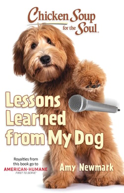 Chicken Soup for the Soul: Lessons Learned from My Dog - 101 Tales of Friendship and Fun