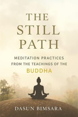 The Still Path