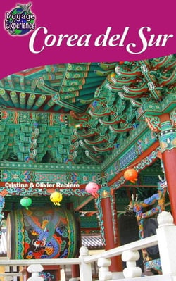 Corea del Sur - Voyage Experience