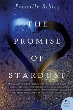 The Promise of Stardust - A Novel