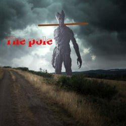 The Pole