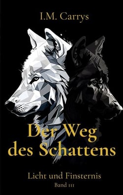 Der Weg des Schattens - Licht und Finsternis Band 3
