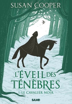 L'Éveil des ténèbres - Tome 01 Le Cavalier noir (e-book)