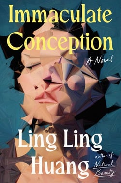 Immaculate Conception - A Novel