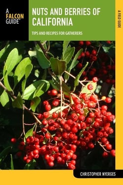 Nuts and Berries of California - Tips and Recipes for Gatherers