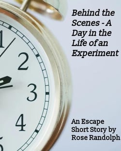 Behind the Scenes - A Day in the Life of an Experiment