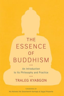 The Essence of Buddhism - An Introduction to Its Philosophy and Practice