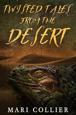 Twisted Tales From The Desert - Star Lady Tales, #3