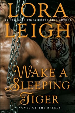 Wake a Sleeping Tiger