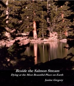 Beside the Salmon Stream - Dying at the Most Beautiful Place on Earth