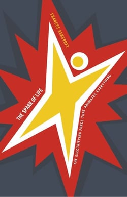 The Spark of Life - Electricity in the Human Body