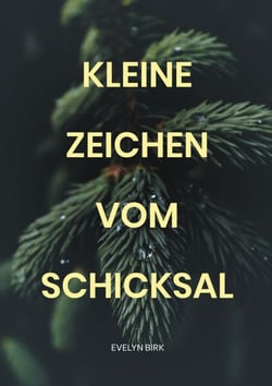 Kleine Zeichen vom Schicksal - Ein spannender Liebesroman mit Tiefgang