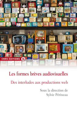 Les formes brèves audiovisuelles - Des interludes aux productions web