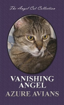 Vanishing Angel - Angel Cat Collection, #6