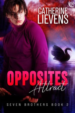 Opposites Attract - Seven Brothers, #2