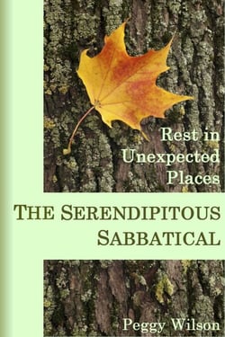 The Serendipitous Sabbatical:  Rest in Unexpected Places