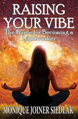Raising Your Vibe - Life On Fire, #2