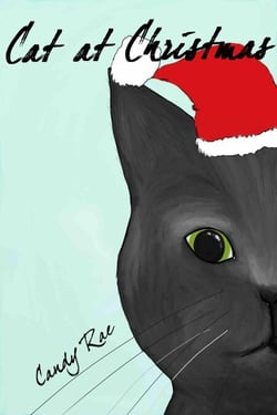 Cat at Christmas - Sammy the Cat, #2