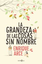 La grandeza de las cosas sin nombre