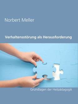 Verhaltensstörung als Herausforderung - Grundlagen der Heilpädagogik