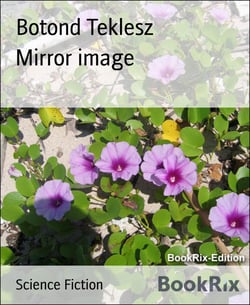 Mirror image