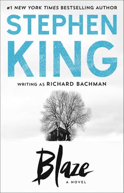 Blaze - A Novel