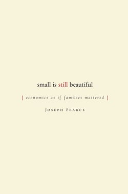 Small is Still Beautiful - Economics as if Families Mattered