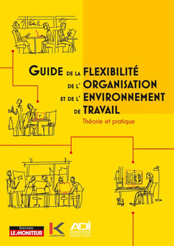 Guide de la flexibilité de l'organisation et de l'environnement de travail - théorie et pratique