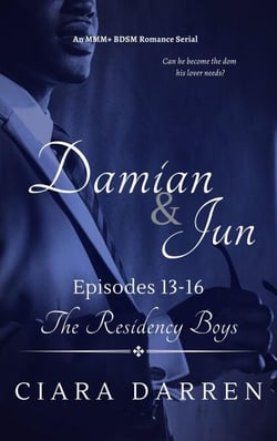 Damian &amp; Jun: Episodes 13-16 - The Residency Boys, #9