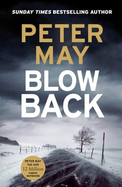 Blowback - The exciting penultimate case in the addictive crime series (The Enzo Files Book 5)