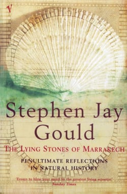 The Lying Stones of Marrakech - Penultimate Reflections in Natural History