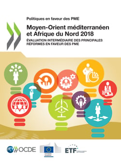 Politiques en faveur des PME : Moyen-Orient méditerranéen et Afrique du Nord 2018 - Évaluation intermédiaire des principales réformes en faveur des PME