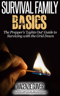 The Prepper's 'Lights Out' Guide to Surviving with the Grid Down - Survival Family Basics - Preppers Survival Handbook Series