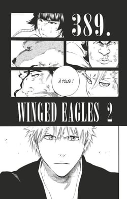 Bleach - T45 - Chapitre 389 - WINGED EAGLES 2