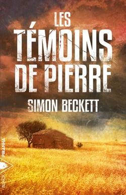 Les Témoins de pierre