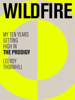 Wildfire - My Ten Years Getting High in The Prodigy