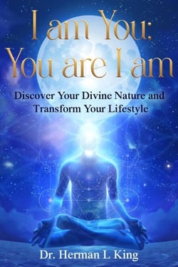 I am You; You are I am - 2, #2