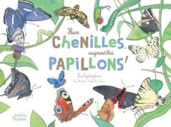 Hier chenilles, aujourd’hui papillons ! - Larves, chenilles, chrysalides, papillons… lépidoptères !