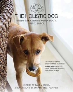 The Holistic Dog - Inside the Canine Mind, Body, Spirit, Space
