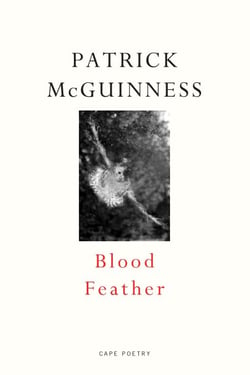 Blood Feather - ‘He writes with Proustian élan and Nabokovian delight’ John Banville