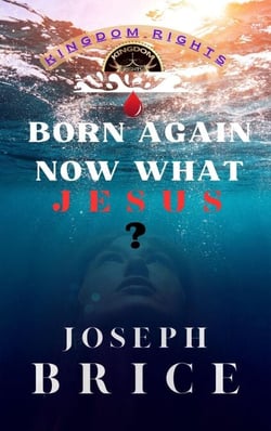 Born Again Now What Jesus