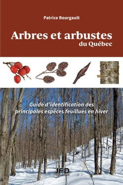 Arbres et arbustes du Québec - Guide d'identification des principales espèces feuillues en hiver