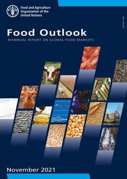 Food Outlook – Biannual Report on Global Food Markets: November 2021