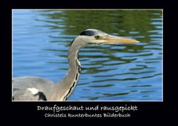 Draufgeschaut und rausgepickt - Christels kunterbuntes Bilderbuch