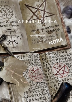 La pierre de Srha - TOME III