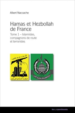 Hamas et Hezbollah de France - Tome 1 - Islamistes, compagnons de route et terroristes